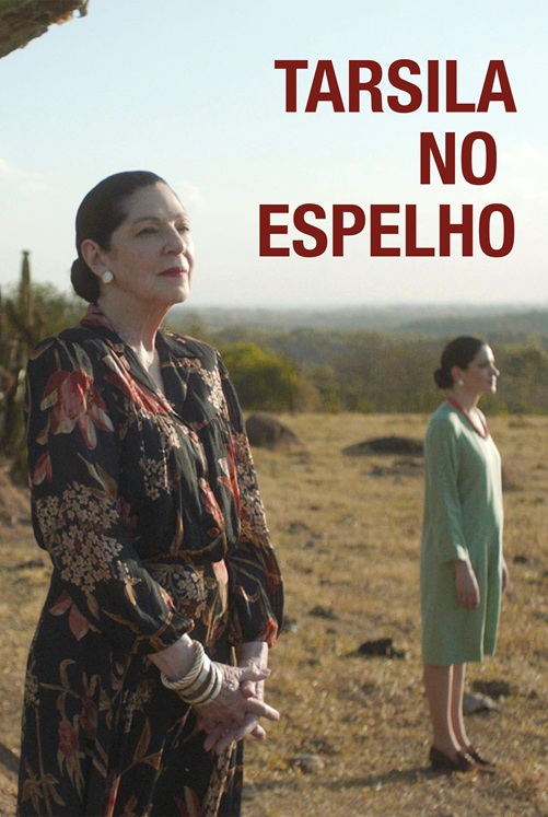 Espelho de Tarsila 